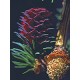 Bach Flower Remedies for Animals - Larch